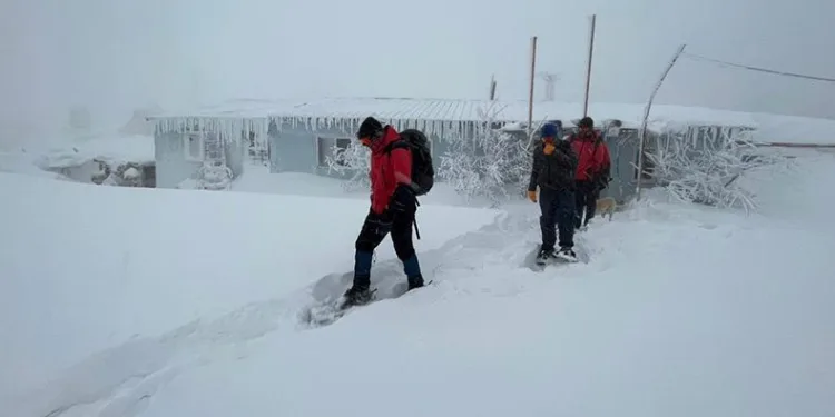 Mahsur kalan bekçi ekiplerce kurtarıldı