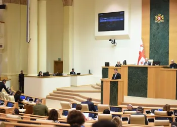 Gürcistan Başkanından Türkiye’ye yardım çağrısı
