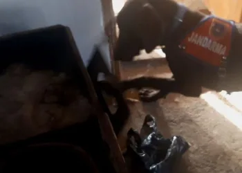 Patisiyle sobayı açan “Kaput” uyuşturucuyu buldu