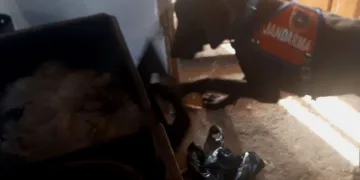 Patisiyle sobayı açan “Kaput” uyuşturucuyu buldu