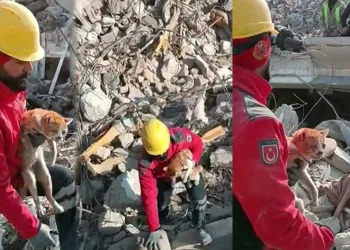 10 gün sonra kurtarıldı
