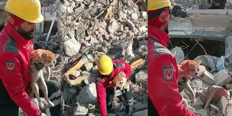 10 gün sonra kurtarıldı