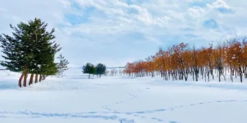 Kış manzarası göz kamaştırdı