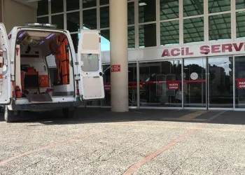 Aydın’da dehşete düşüren görüntüler