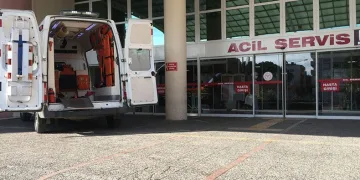Aydın’da dehşete düşüren görüntüler