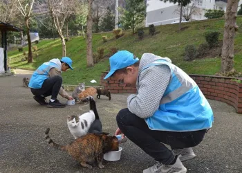 Can dostlarına ‘Yıldırım’ şefkat