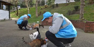 Can dostlarına ‘Yıldırım’ şefkat