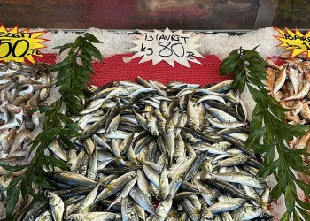 Havalar ısındı, balık fiyatları düştü