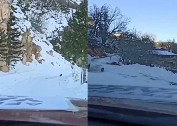 Yardım konvoyuna rehberlik ederek köyüne getirdi