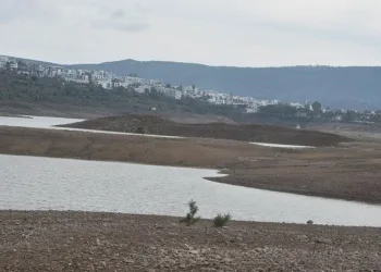 Muğla’da kuraklık tehlikesi
