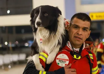 Meksika meşhur köpeklerini gönderdi