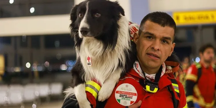 Meksika meşhur köpeklerini gönderdi
