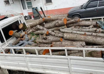 Depremzedelere gönderilmek üzere kesilen odunları çaldılar