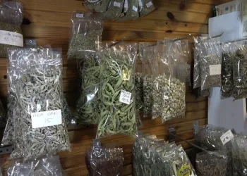 Mevsim geçişlerinde hastalıklardan korunma yolları