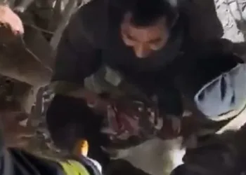 Kurtarılan 3 yaşındaki Miran’a hayat öpücüğü