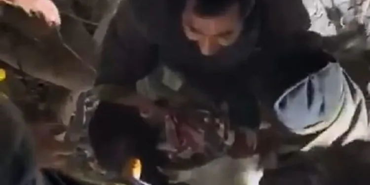 Kurtarılan 3 yaşındaki Miran’a hayat öpücüğü