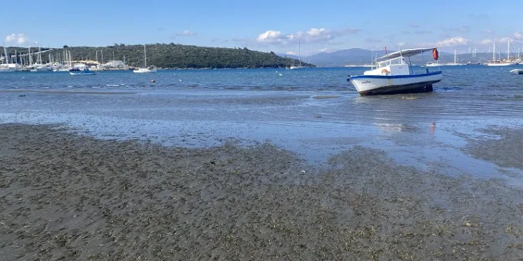 Seferihisar’da deniz 25 metre çekildi