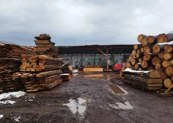 Tomruğun altında kalan adam hayatını kaybetti