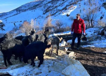 25 hayvan enkaz altından sağ çıkarıldı