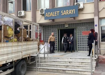 Aydın’da narkotik ekipleri uyuşturucuya geçit vermedi