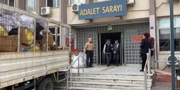 Aydın’da narkotik ekipleri uyuşturucuya geçit vermedi