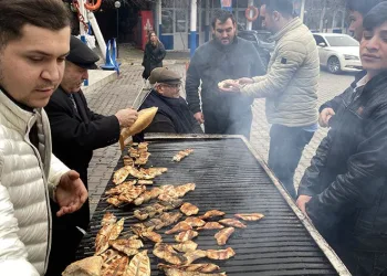 Balıkçılar soğuk havadan umutlu