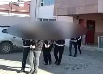 Van’da 7 organizatör tutuklandı