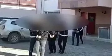 Van’da 7 organizatör tutuklandı
