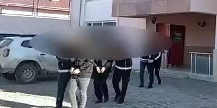 Van’da 7 organizatör tutuklandı