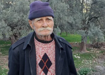 “Çevreciler zeytin ağaçlarımı kurtarmama izin vermedi”