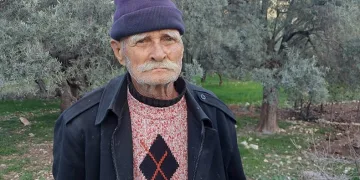 “Çevreciler zeytin ağaçlarımı kurtarmama izin vermedi”