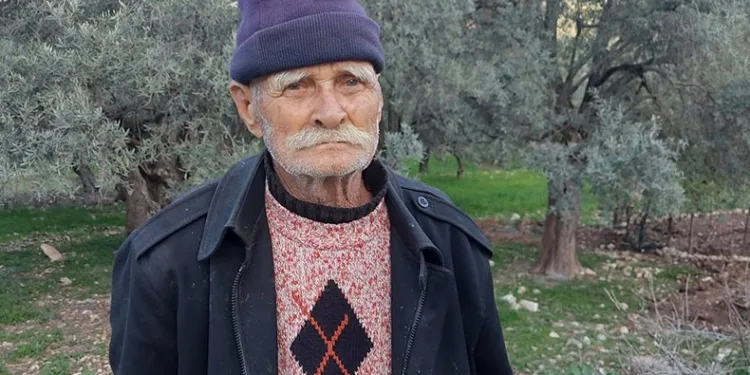 “Çevreciler zeytin ağaçlarımı kurtarmama izin vermedi”