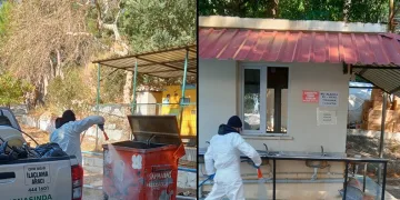 Deprem bölgesi haşere oluşumuna karşı ilaçlandı
