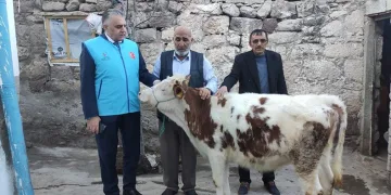 Gözü gibi baktığı danasını depremzedelere bağışladı