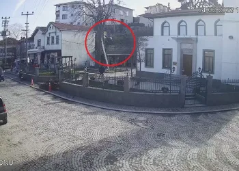 Kestiği ağaçtan düşerek hayatını kaybetti