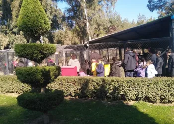 Tarsus Doğa Parkı depremzedelere moral oldu