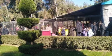 Tarsus Doğa Parkı depremzedelere moral oldu