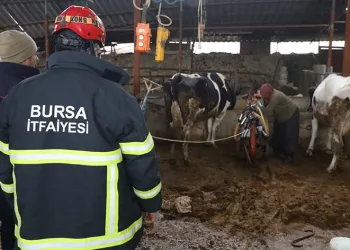 Bursa itfaiyesi gece yangında gündüz ahırda