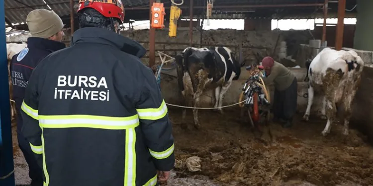 Bursa itfaiyesi gece yangında gündüz ahırda
