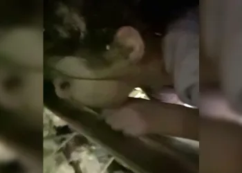 “Çıktığında oyun oynayacağız”