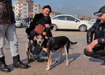 Yok böyle dostluk