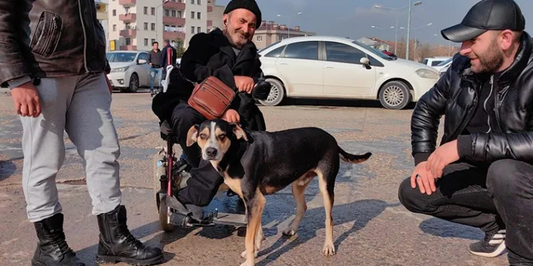 Yok böyle dostluk