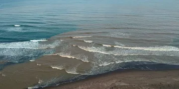 Karadeniz çamura büründü