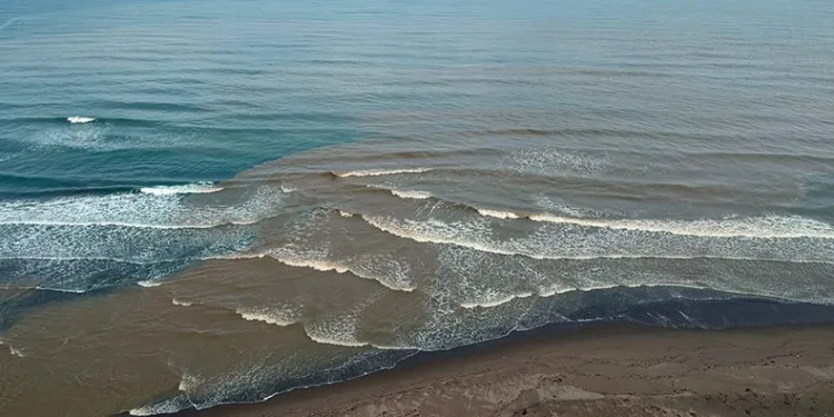 Karadeniz çamura büründü