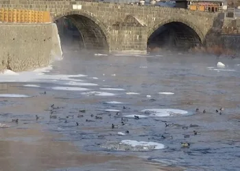 Baharı beklerken buz kesti