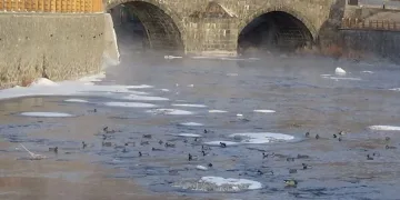 Baharı beklerken buz kesti