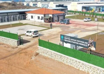 Rehabilitasyon merkezine ‘Proteo’nun ismi verildi