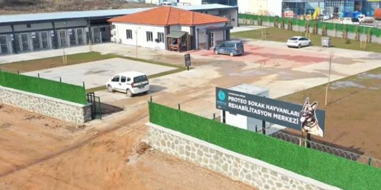 Rehabilitasyon merkezine ‘Proteo’nun ismi verildi