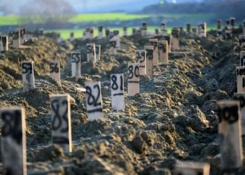 Deprem mezarlığı’nda numaralı defin