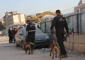 Köpekler yaralı halde enkazdan enkaza koştu